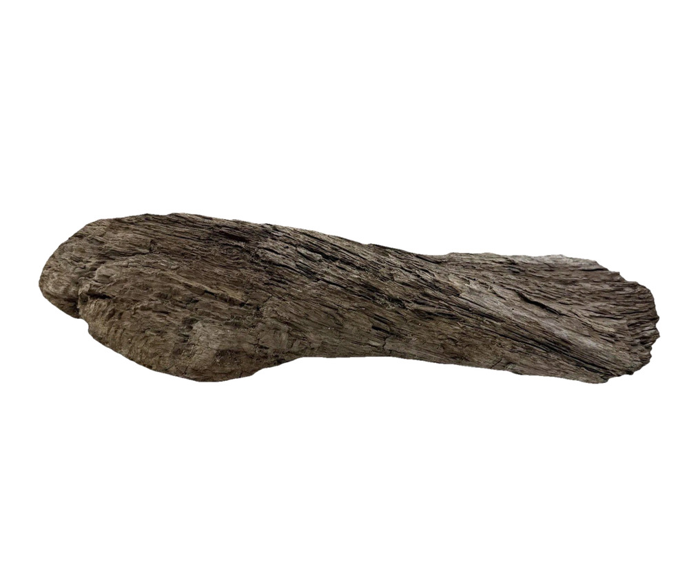 Twisted California Coast Driftwood Form – Dark Weathered Grain 13”